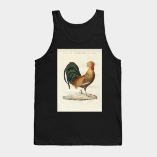 Domestic Hen Tank Top